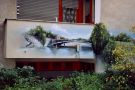 laurus_4.JPG