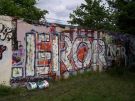 lichtenberg_44.jpg