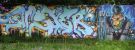 lichtenberg_79.jpg