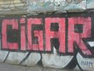 mitte_139.jpg