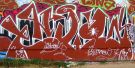 mitte_258.jpg