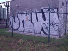 pankow_289.jpg