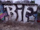 bif_15.jpg