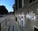 foidkio_22.jpg
