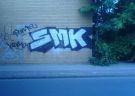 smk_105.jpg