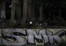 smk_66.jpg