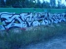 smk_98.jpg