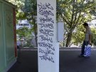 tagg_263.jpg