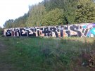 13092009518.jpg