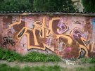 CIMG6853.JPG