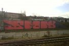 DSC00007.jpg