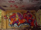 DSC00011.JPG