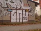 DSC00218.jpg