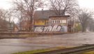 DSC00231.jpg