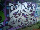 DSC00273.JPG