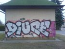 DSC00420.jpg