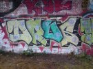 DSC00584.JPG
