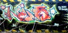 DSC00747.jpg