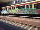 DSC00805.JPG
