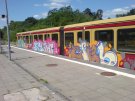 DSC00806.JPG