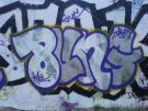 DSC01031.JPG