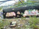Filename=DSC01300.JPG
Filesize=146KB
Dimensions=800x600
Date added=May 04, 2008 DSC01300.JPG