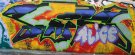 DSCF5286.jpg