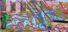 DSCF5351.jpg