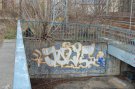DSC_0446.JPG