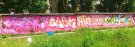 DSC_0696.JPG