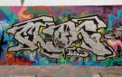 IMG_0951.JPG