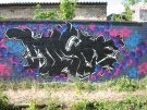 IMG_3676.jpg