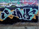 dsc00149.jpg