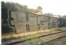 gauner_034.jpg