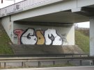 gdm_004.JPG