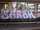 sarahtrain_bornh.jpg